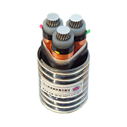 YJLHS、YJLHV22、YJLHV 8.7/15KV 中壓稀土高鐵鋁合金電纜